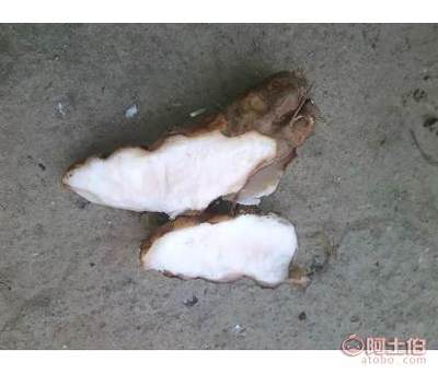 【土茯苓中药_土茯苓种苗_土茯苓种子_土茯苓苗_鲜土茯苓_土茯苓】钟山县顺堂中药材购销部 - 产品库