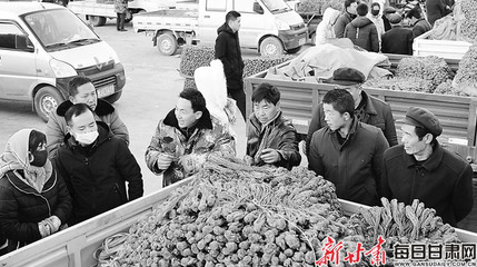 【图片新闻】岷县大力推进中药材产业转型升级
