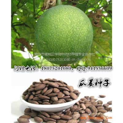 价格 厂家 中国供应商