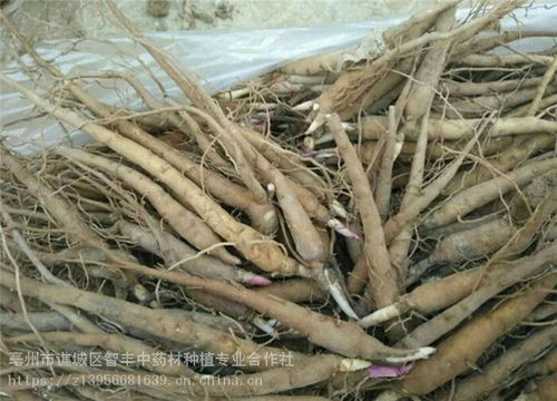 价格 厂家 中国供应商