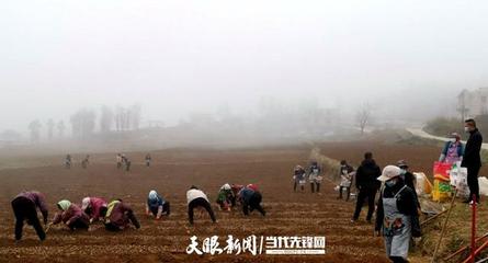 赫章这个非公企业党组织这样接续乡村振兴