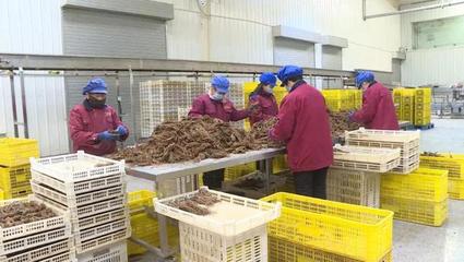 陇西:复工复产春意浓