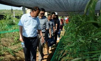 中国中药协会中药材种子种苗专业委员会中药材种子种苗技术培训班暨种业发展研讨会 第二期