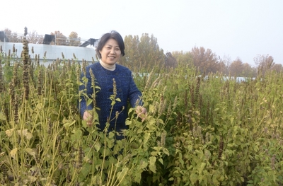 河南省首批省级重点实验室优化重组名单公布 河南省中药材资源保护与利用重点实验室入选