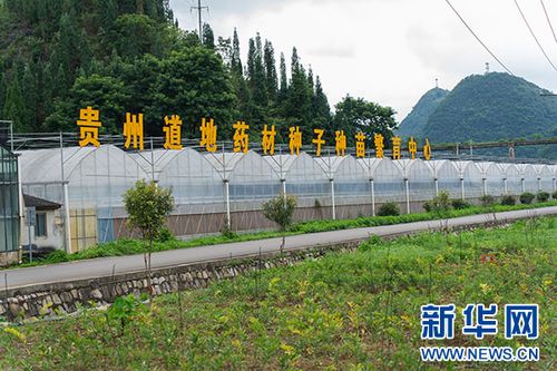 贵州喀斯特中药民族药野生资源保护与利用研究中心在关岭揭牌，聚焦药材种子种苗发展