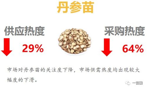 热门药材种苗市场解析 机遇与种植指南