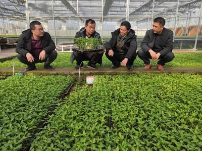 榕江 不负农时不负春，农资检查助推农业现代化高质量发展