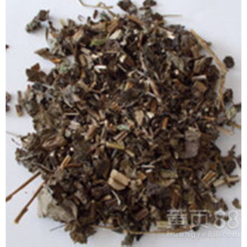 大叶蛇总管 药材种子与种苗的栽培与利用