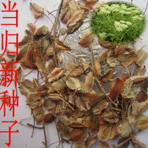 药材种子种苗报价 厂家